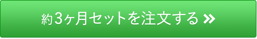約3ヶ月セットを注文する