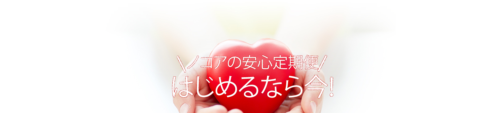 ノコアの安心定期便 はじめるなら今！