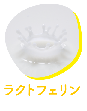 ラクトフェリンについて