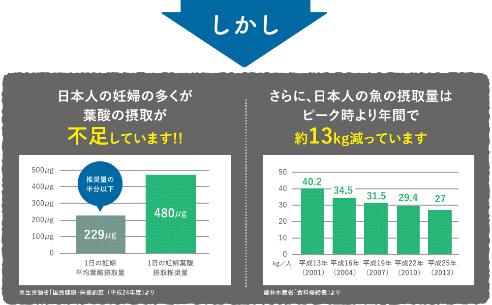 しかし、日本人の妊婦の多くが葉酸の摂取が不足しています!!
          さらに、日本人の魚の摂取量はピーク時より年間で約13kg減っています