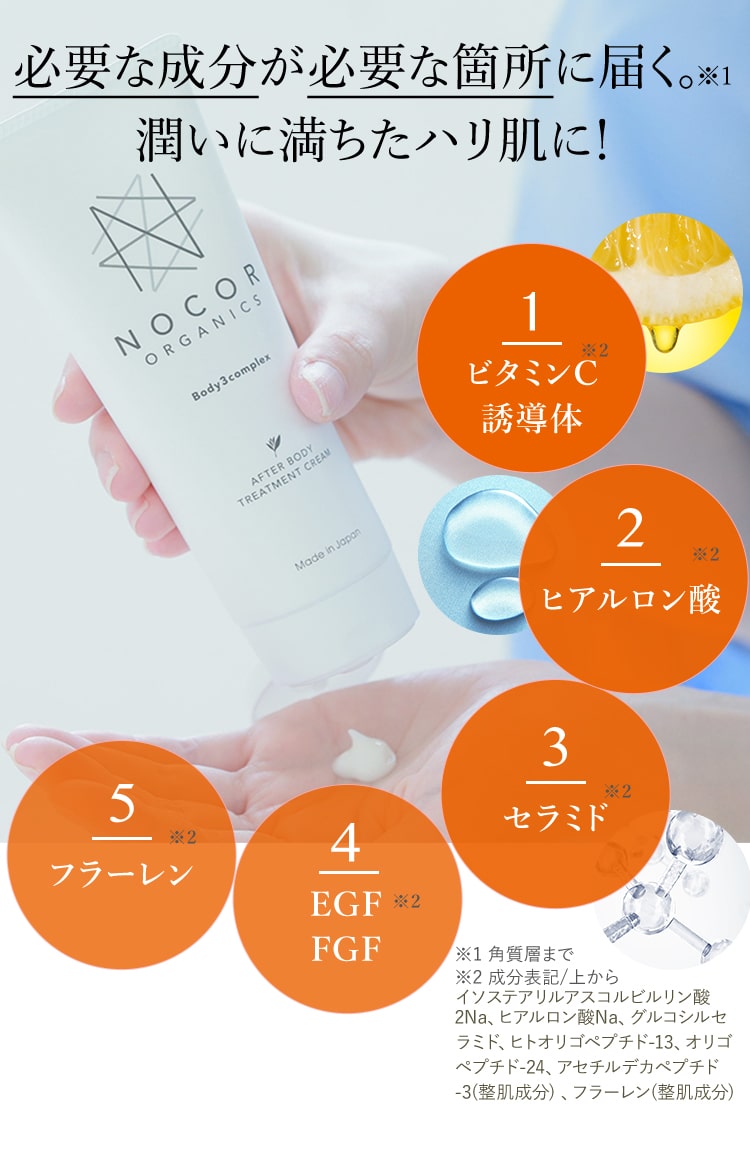 必要な成分が必要な箇所に届く。潤いに満ちたハリ肌に！