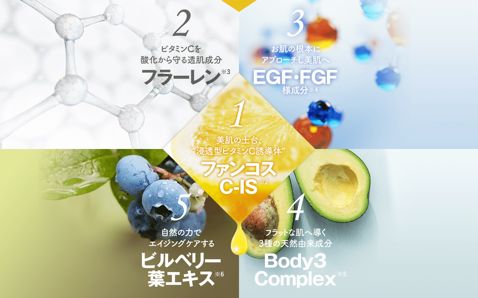 1.ファンコス C-IS 2.ビタミンCを 酸化から守る透肌成分 3.お肌の根本に アプローチし美肌へ 4.フラットな肌へ導く 3種の天然由来成分 5.自然の力で エイジングケアする