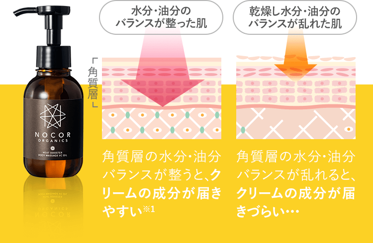 水分・油分の バランスが整った肌 乾燥し水分・油分の バランスが乱れた肌