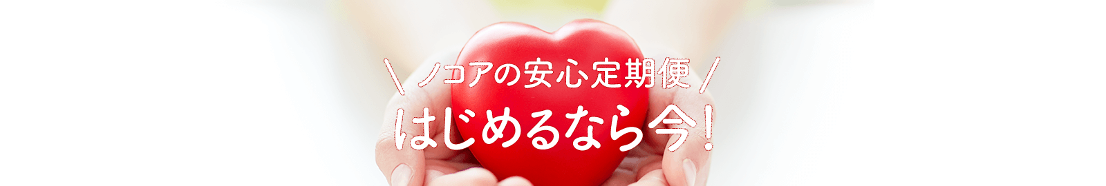 ノコアの安心定期便 はじめるなら今！