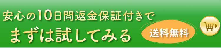 安心の10日感返金保証付きでまずは試してみる