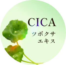 CICA