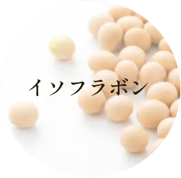 イソフラボン