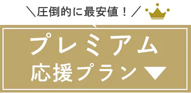 プレミアム応援プラン｜圧倒的に最安値！