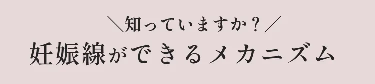 知っていますか？妊娠線・肉割れができるメカニズム　妊娠線や肉割れができる原因の一つが、皮膚の急激な伸びです。妊娠中や成長期によって「真皮」にひび割れができることで、皮膚に裂けたような傷が見えます。この真皮に主成分は「コラーゲン」そのためコラーゲンが不足してしまうことで断裂が起きやすくなってしまいます。