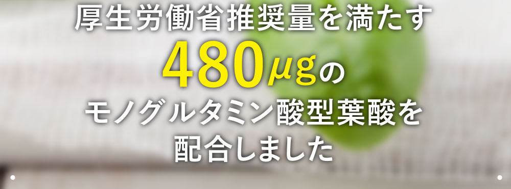厚生労働省推奨量を満たす480μgのモノグルタミン酸型葉酸を配合しました