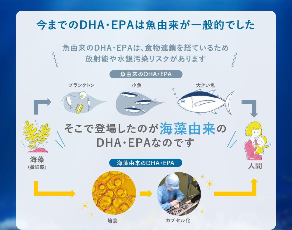 今までのDHA・EPAは魚由来が一般的でした
      魚由来のDHA・EPAは、食物連鎖を経ているため放射能や水銀汚染リスクがあります
      そこで登場したのが海藻由来のDHA・EPAなのです
