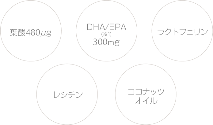 葉酸400μg DHA/EPA300mg ラクトフェリン レシチン ココナッツオイル