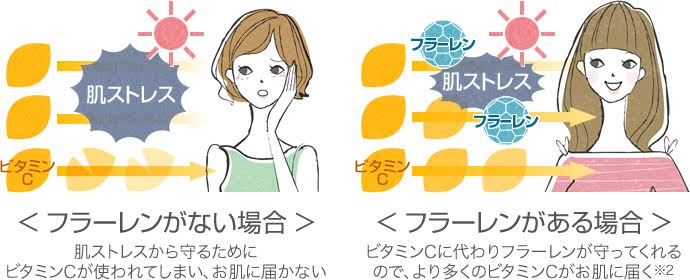 フラーレンの働き
