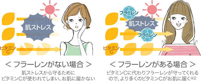 フラーレンの働き